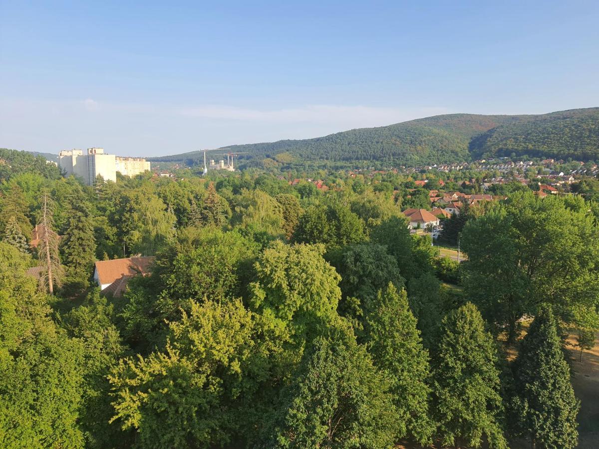 Hegyalja Apartman Miskolc Extérieur photo
